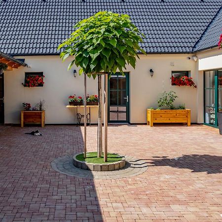 U Katalpy Hotel Sedlec  Exterior photo