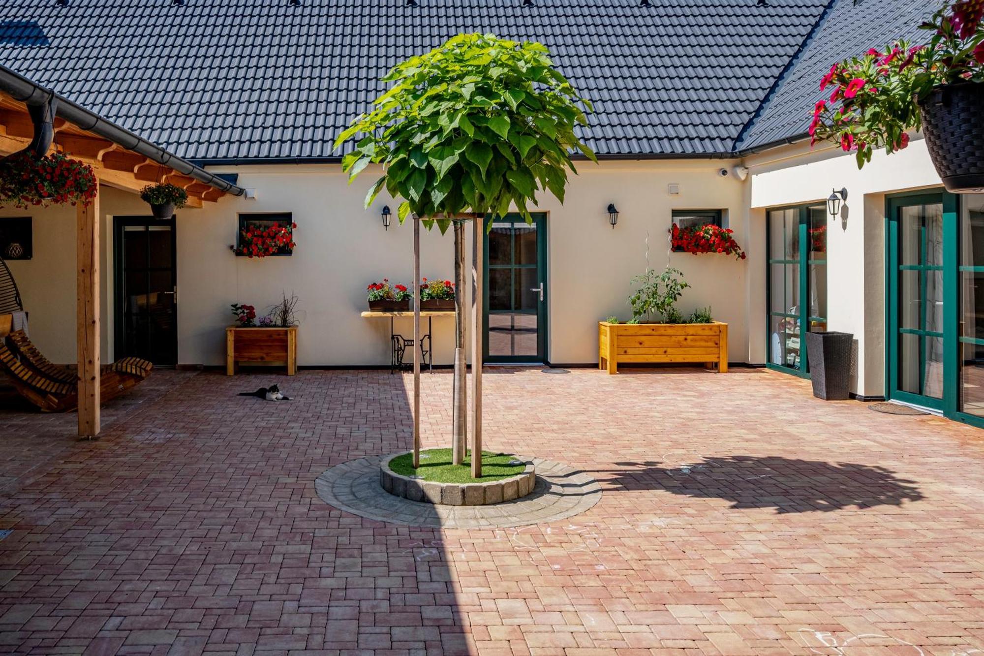 U Katalpy Hotel Sedlec  Exterior photo